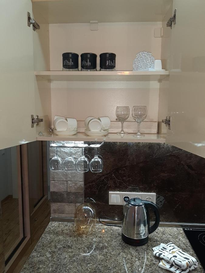 ホテル New Gudauri Loft1 エクステリア 写真