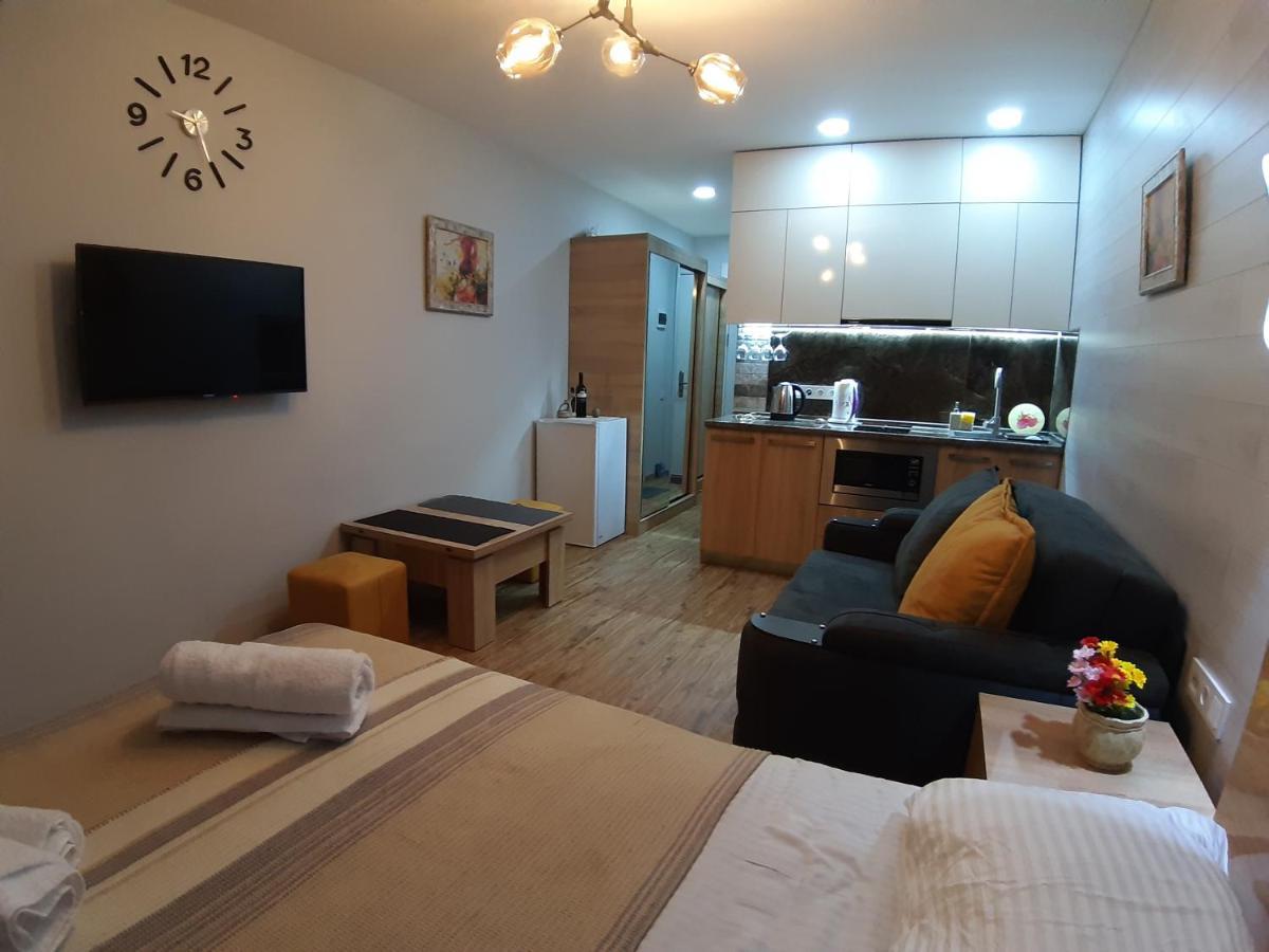 ホテル New Gudauri Loft1 エクステリア 写真