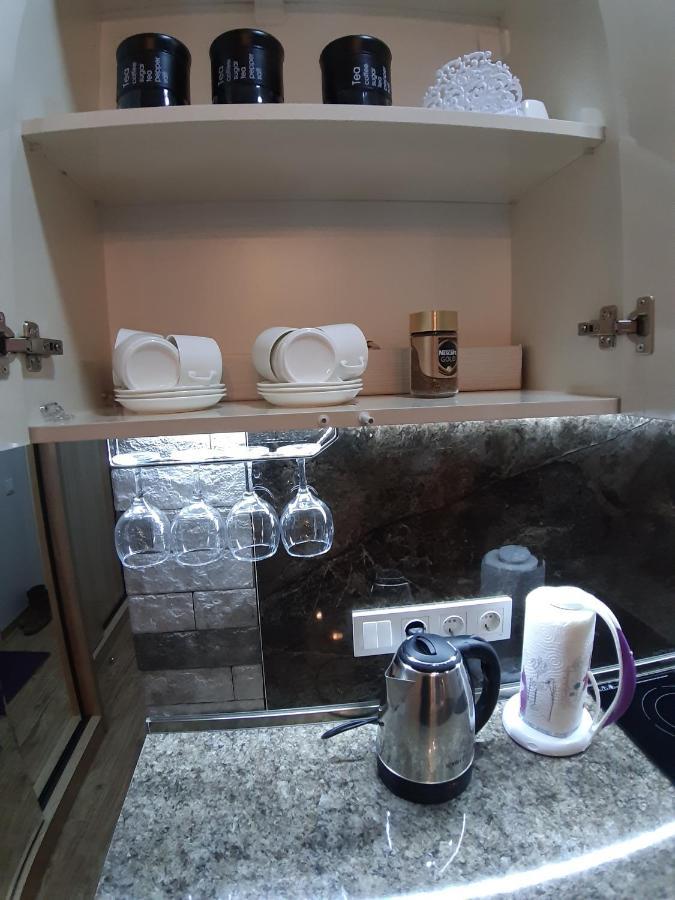 ホテル New Gudauri Loft1 エクステリア 写真
